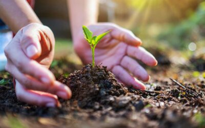 Congreso ambiente y sustentabilidad