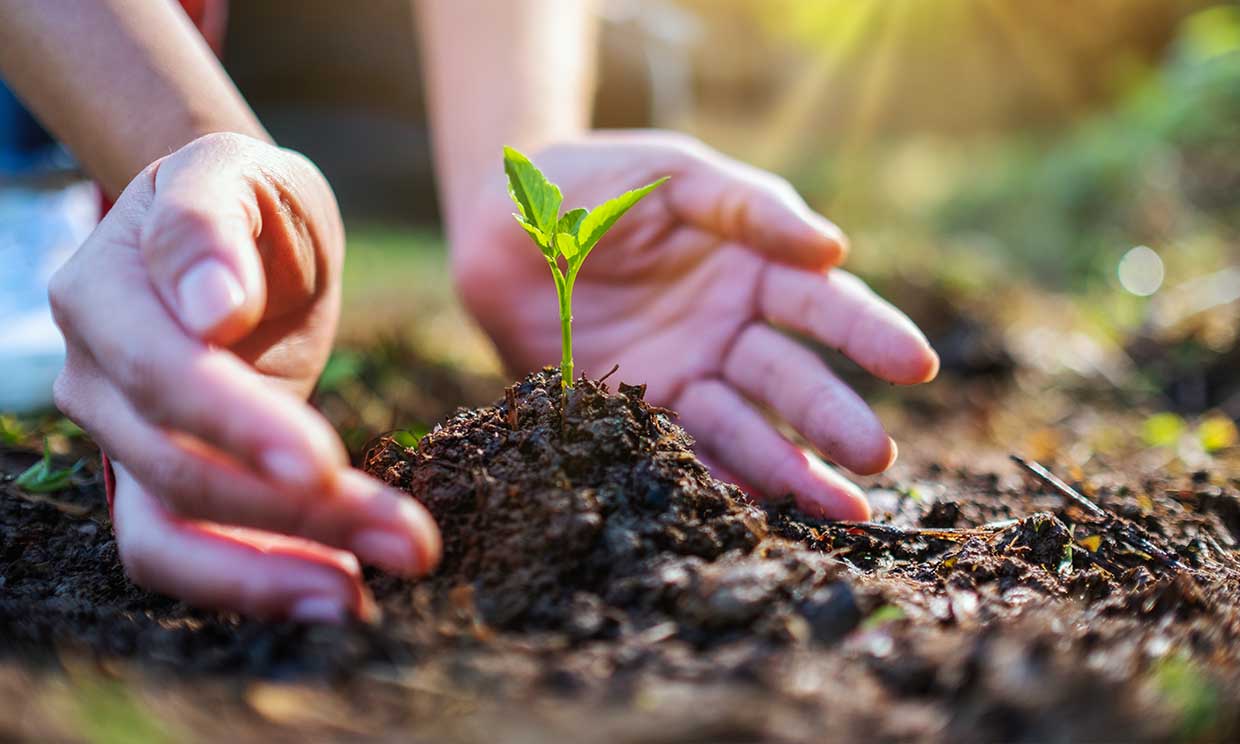 no-todos-los-productos-vegetales-son-respetuosos-con-el-medio-ambiente-t