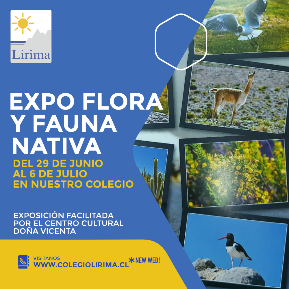 Recordatorio protocolo