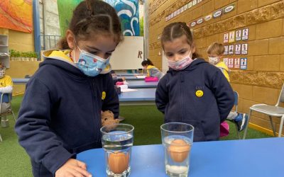 Nuestros Kínder experimentan en su clase de Ciencias