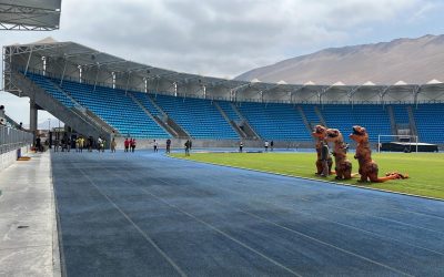 Día Mundial de la actividad física y el deporte 2022