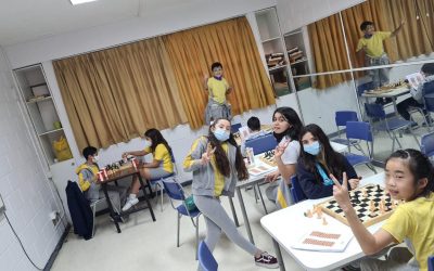 ¡El taller de ajedrez participará en un campeonato!