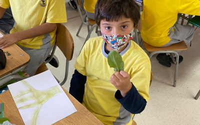 Science Class 3ºA / Chlorophyll Rubbing!