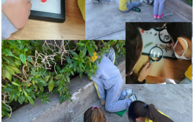 Science 1ºB!