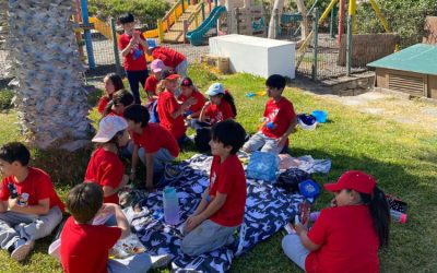 ¡Actividades para el ciclo Infant-Junior!