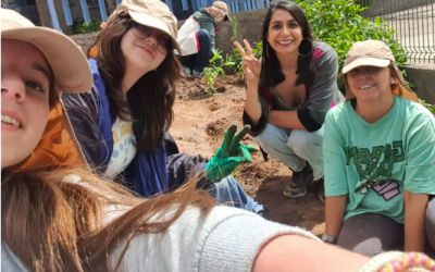 Brigada Ambiental 2023