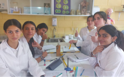 Laboratorio en 7º Básico