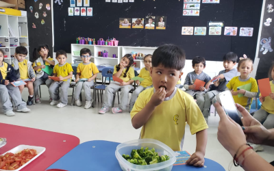 Pre-Kínder A Expande Sus Gustos Culinarios