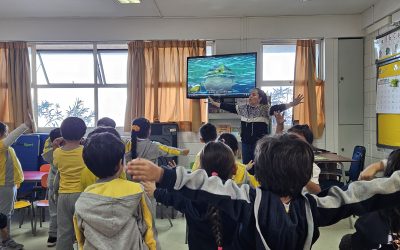 Clases de Música en Lirima