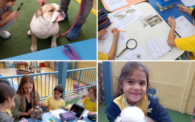 PETS AT SCHOOL: Actividad de Ciencia para 1° Básico