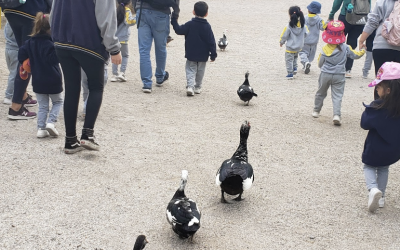 Pequeños exploradores del Playgroup visitan una granja educativa