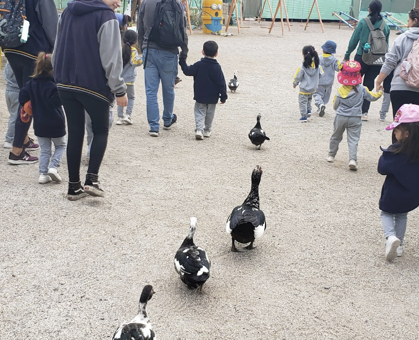 Pequeños exploradores del Playgroup visitan una granja educativa