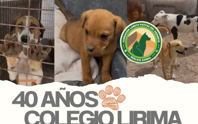 Campaña Prefects 40 años: Semana 1 – Solidaridad