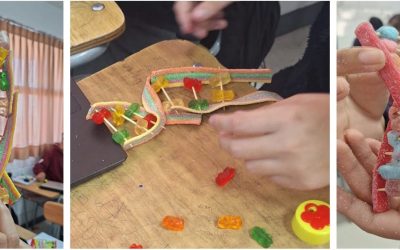 Estudiantes de BCM representan la estructura del ADN con gomitas