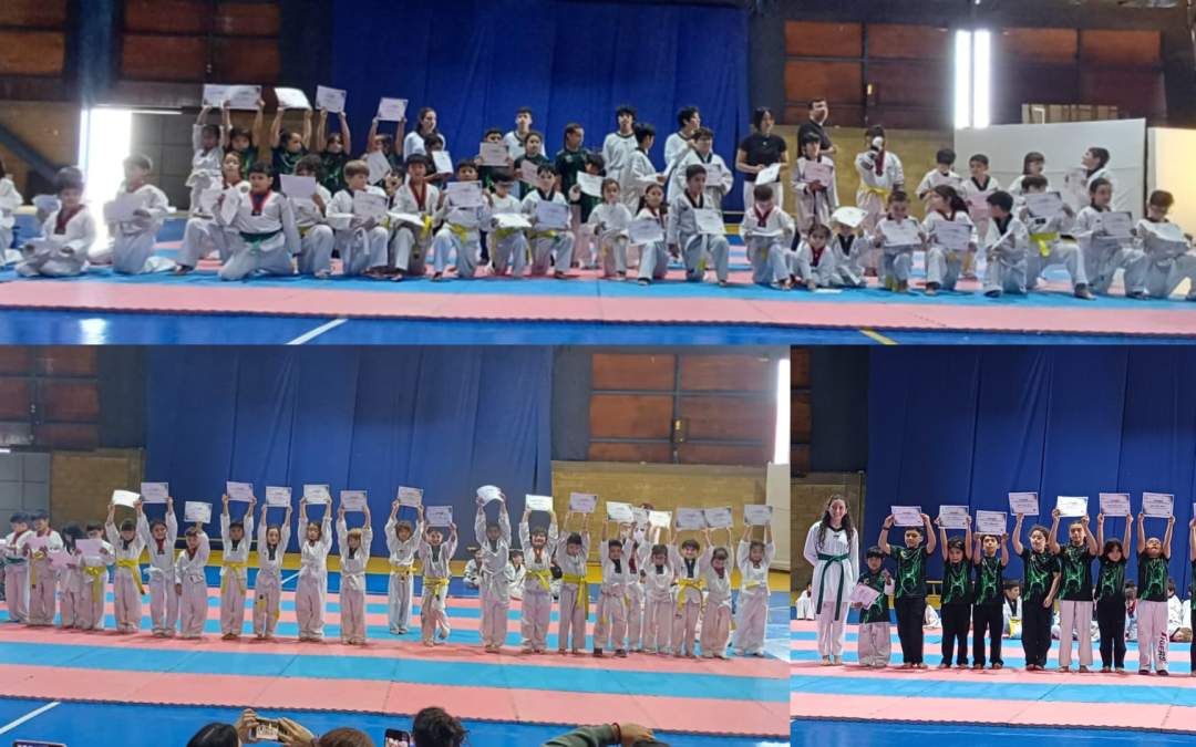 Estudiantes de nuestro colegio brillan en gran exhibición de Taekwondo