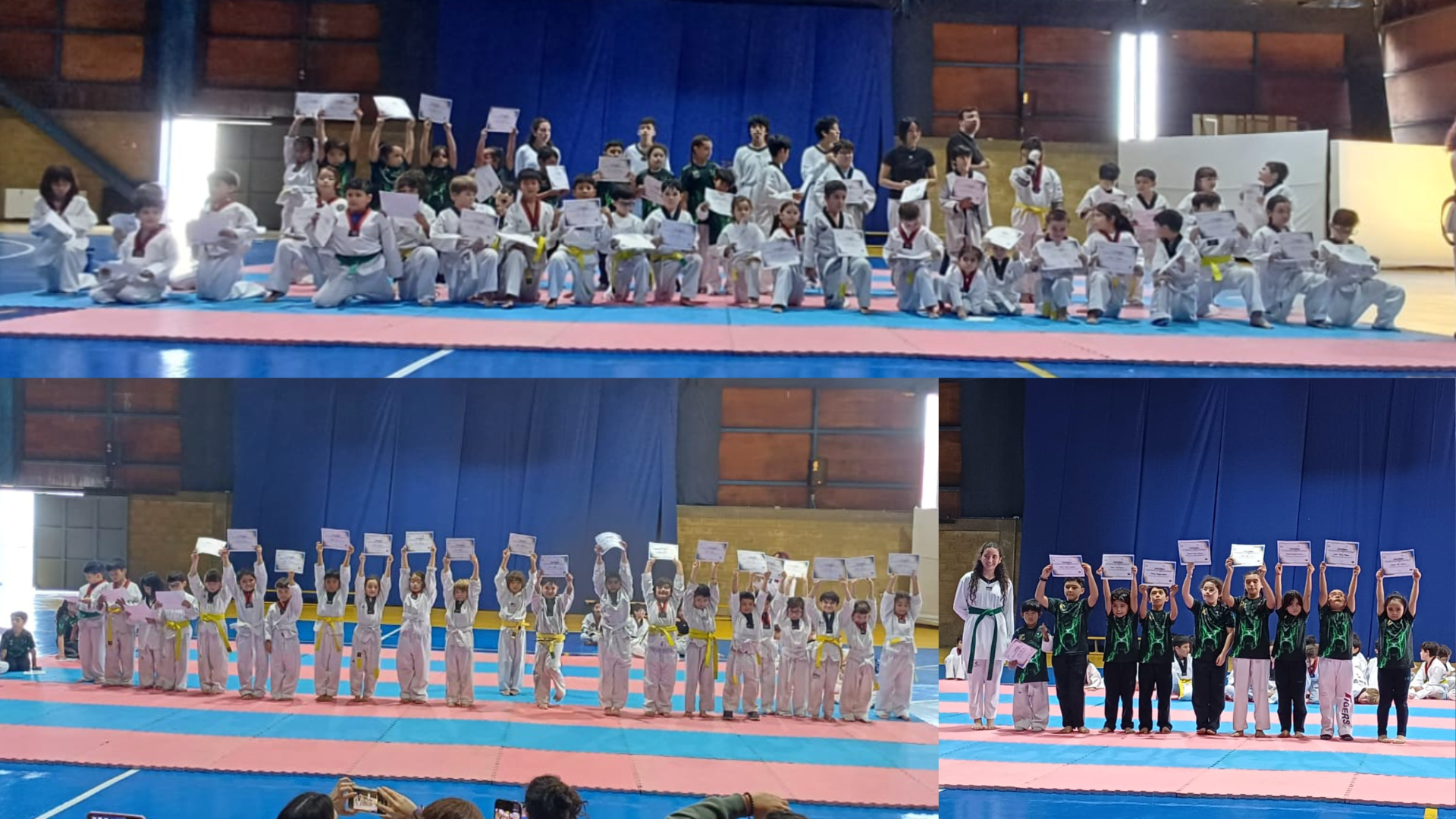 PPAL WEB TAEKWONDO JUL2026