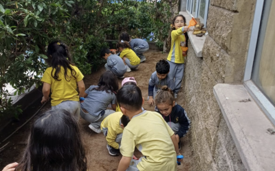 Pequeños paleontólogos en acción: Aprendizaje y aventura